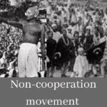 non-cooperation movement