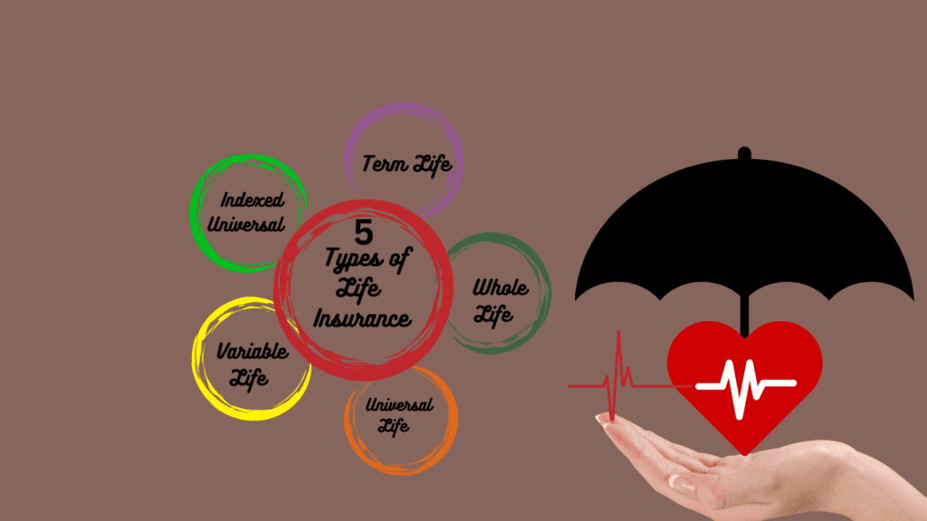 5 Types of Life Insurance