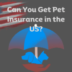 Can You Get Pet Insurance in the US?