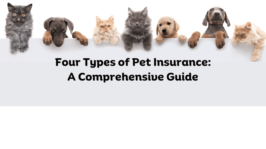 Four Types of Pet Insurance A Comprehensive Guide