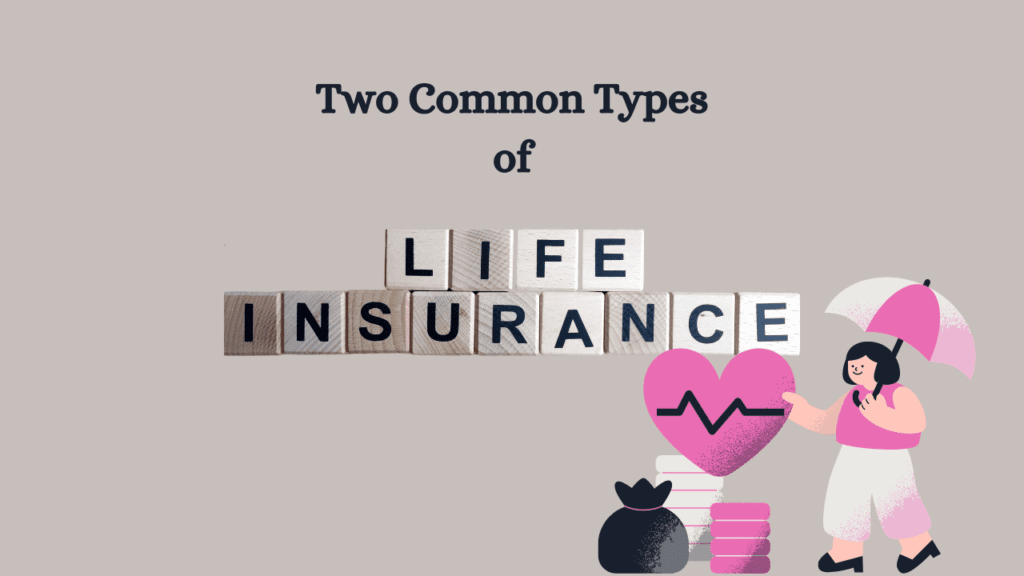 two common types of life insurance