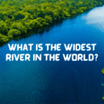 the widest river in the world