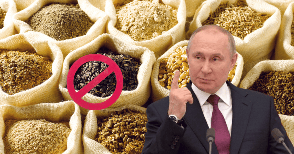 Putin's Halt on Grain Exports Threatens Falling Food Inflation, Supermarkets Warn