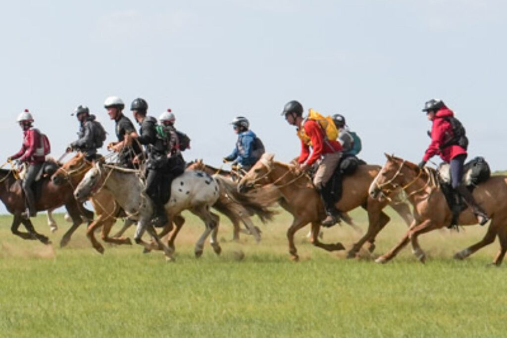 Xinjiang Tourist Festival's Thrilling Horse Race